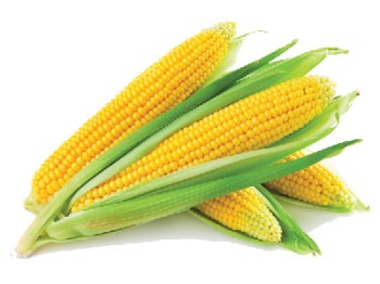 Corn flavour